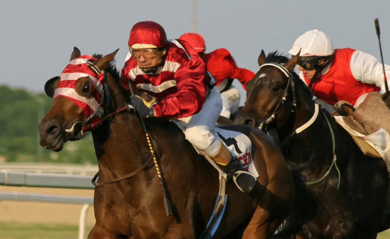 The Role of Jockeys in Horse Racing: Skills and Responsibilities