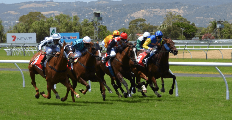 The Role of Technology in Modern Horse Racing