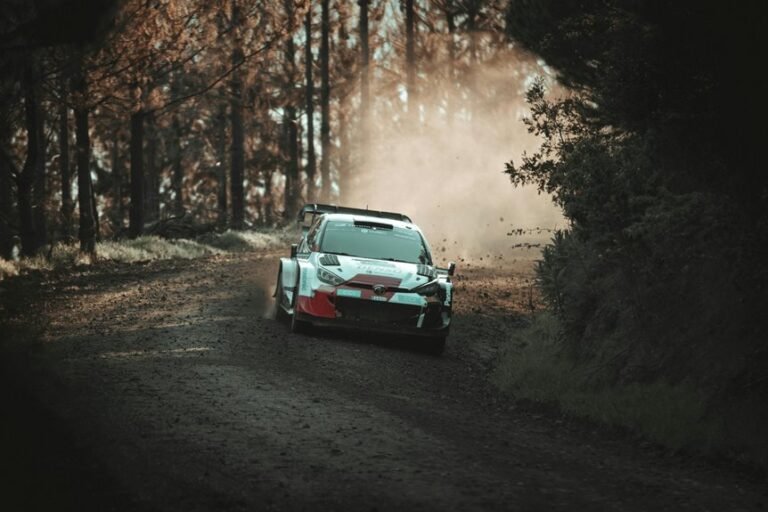 competitive performance evaluation metrics