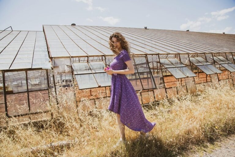 industry codes overview snapshot